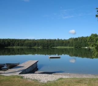 Dags för ett dopp!